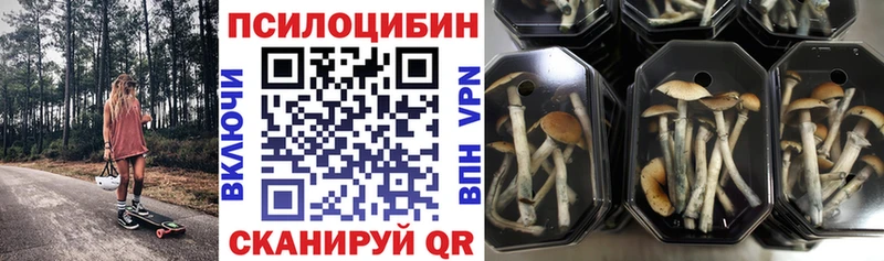 Псилоцибиновые грибы мухоморы  Демидов 